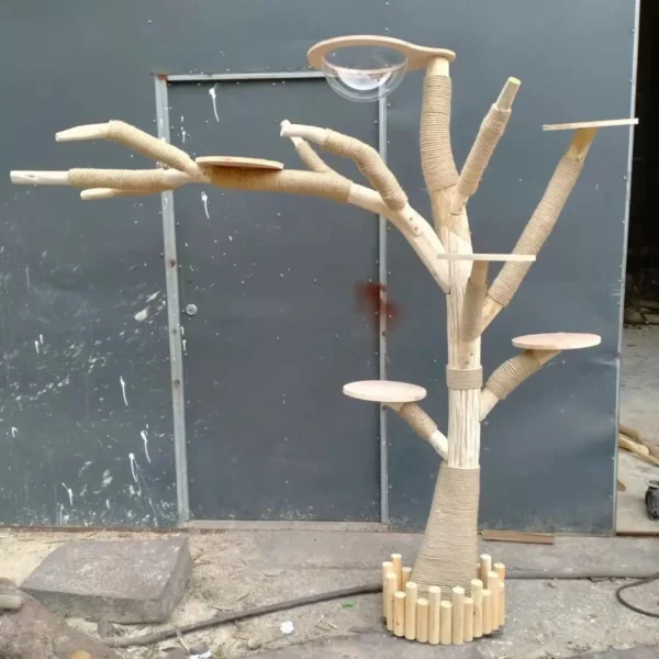 Cat Trees - Solid Wood Climbing Rack - Image 6