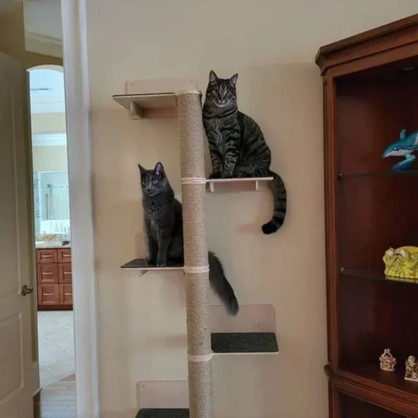 Cat Trees with Rope & Solid Wood Scratching Post - Image 4