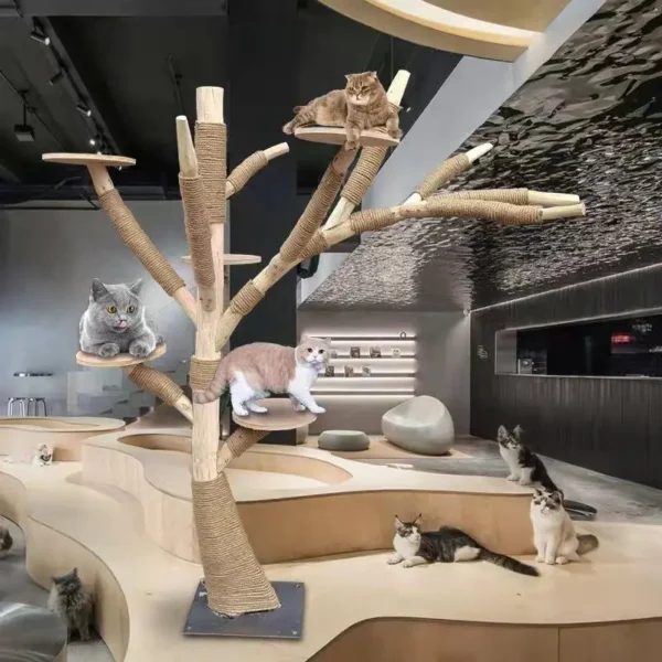 Cat Trees - Solid Wood Climbing Rack - Image 2
